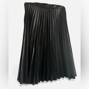 NWOT Zara Black A-Line Pleated Skirt
